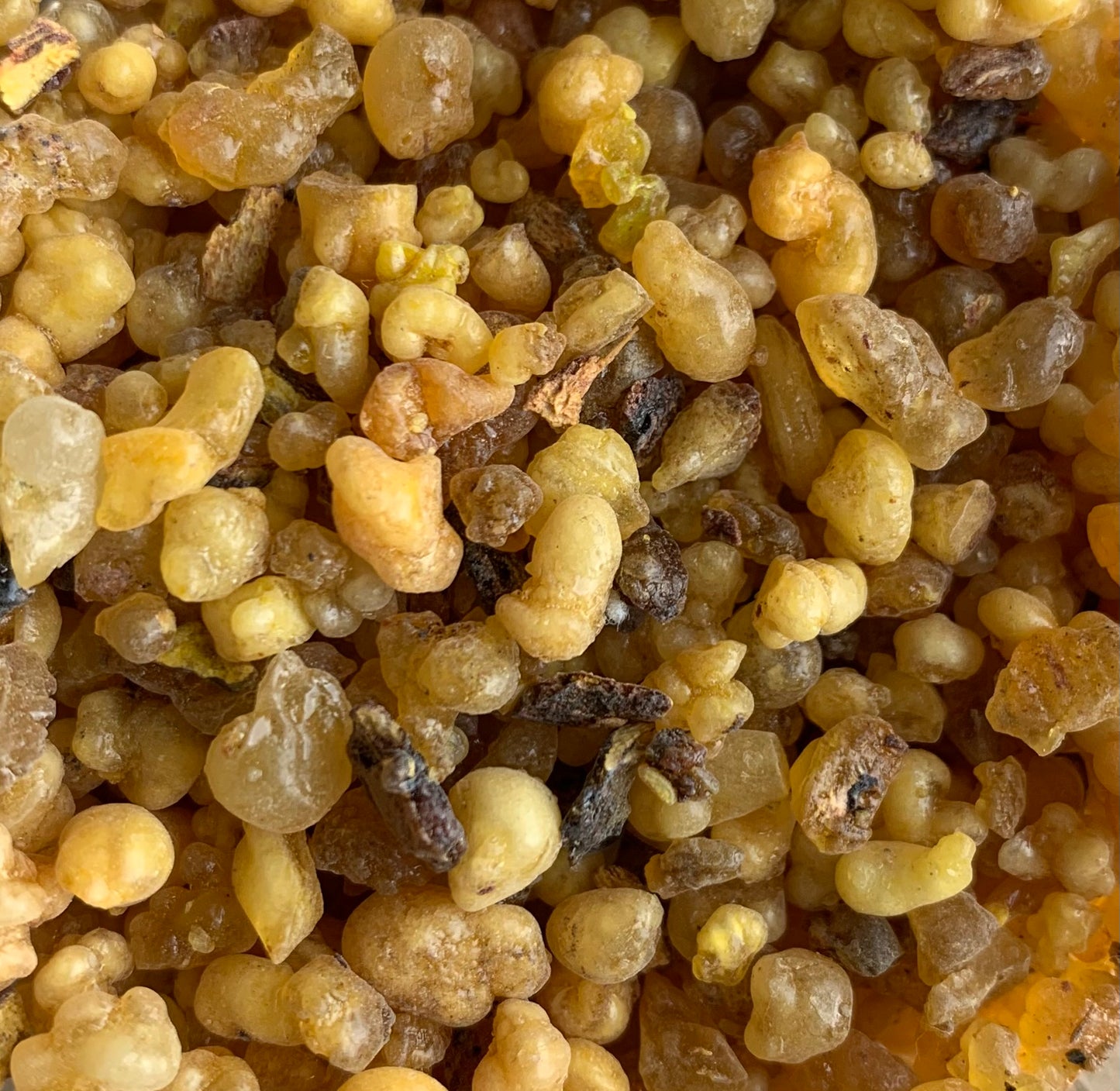 Encens Jérusalem, 50 grammes